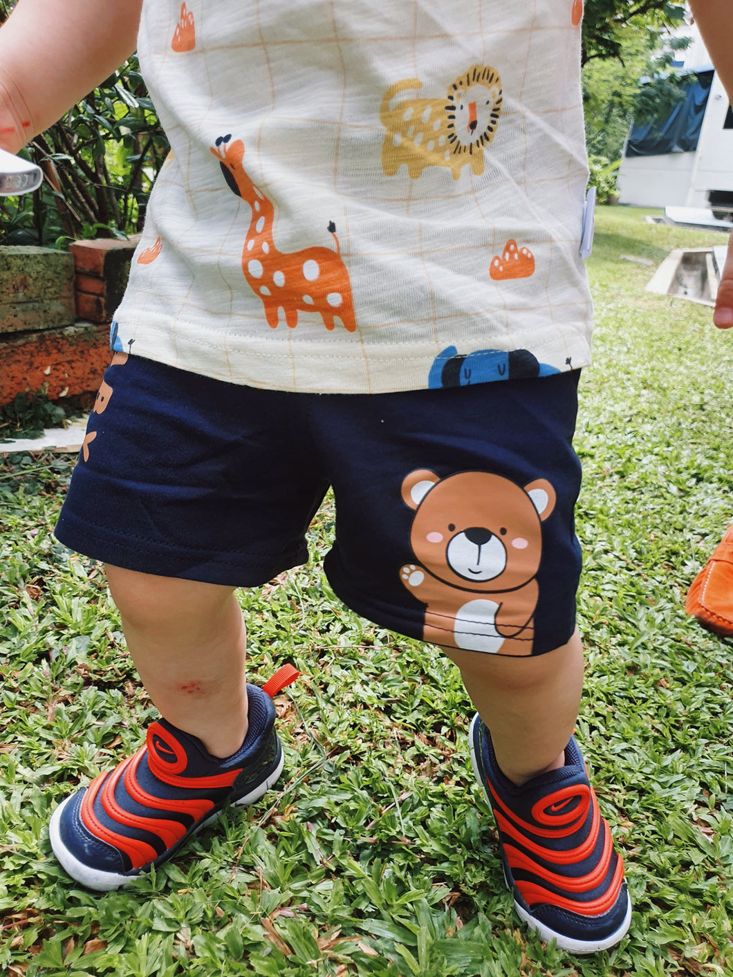 Enzo Baby Bear Shorts